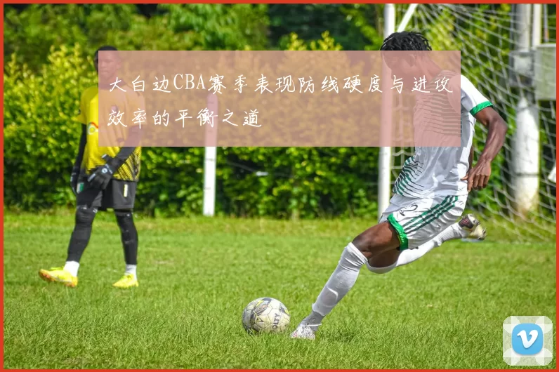 大白边CBA赛季表现防线硬度与进攻效率的平衡之道