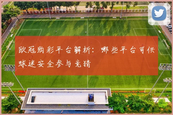 欧冠购彩平台解析:哪些平台可供球迷安全参与竞猜