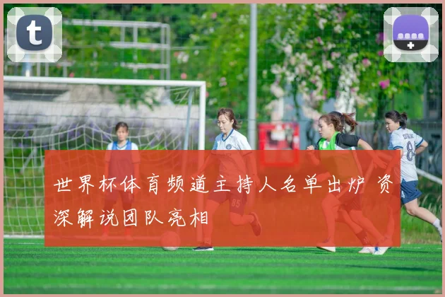 世界杯体育频道主持人名单出炉 资深解说团队亮相