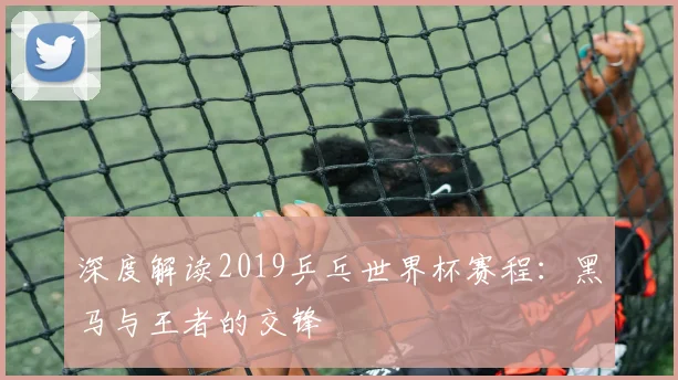 深度解读2019乒乓世界杯赛程:黑马与王者的交锋