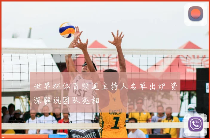 世界杯体育频道主持人名单出炉 资深解说团队亮相