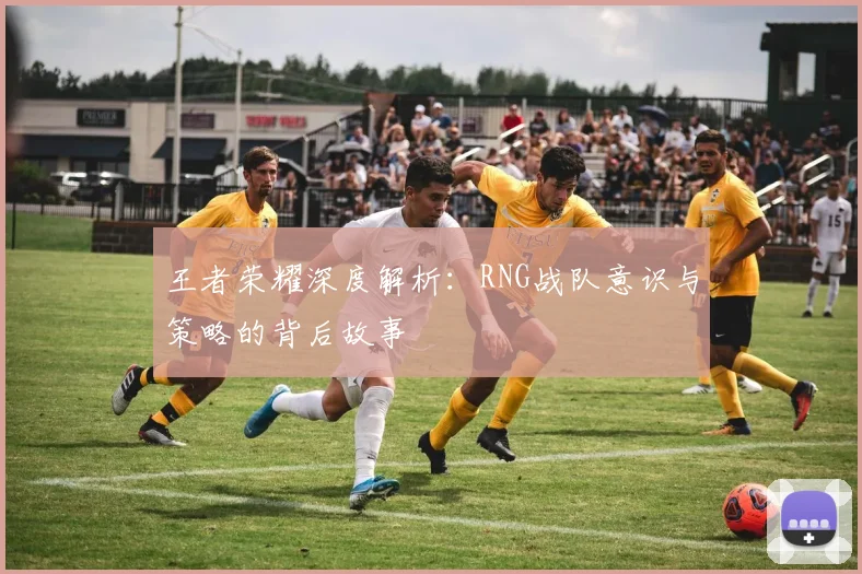 王者荣耀深度解析:RNG战队意识与策略的背后故事