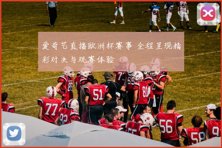 爱奇艺直播欧洲杯赛事 全程呈现精彩对决与观赛体验